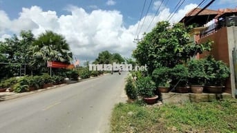 Bán đất mặt tiền đường Vườn Thơm. ngay kênh 10 cách cầu xáng 2km 