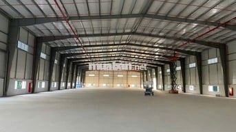 Cho Thuê Kho/Xưởng 3.700m² Tại Trần Đại Nghĩa, Xã Tân Nhựt, TP.HCM