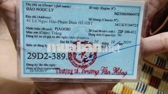 Piaggio Zip 100-411 2019 Trắng