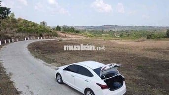 ngộp nặng cấn bán gấp. 10x100 giá chưa tới 200tr đắk mil lâm đồng