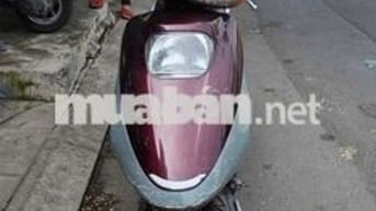 Spacy HQCN biển sg bao ký