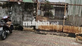 Cho thuê kho Mặt tiền Hoàng Ngân, phường 16,Quận 8 8x52m