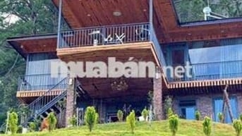 CHO THUÊ VILLA GỖ VIEW 360 độ SIÊU ĐẸP -P3 DALAT -DIỆN TICH : 1000m2