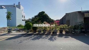 Bán Đất Mặt Tiền Huỳnh Văn Cọ - 118m² Full Thổ Cư | Giá 900 Triệu