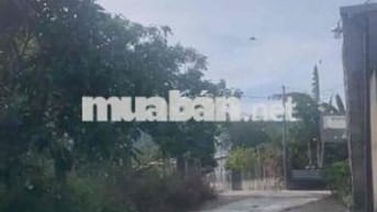 CHỦ CẦN BÁN LÔ ĐẤT KIỆT Ô TÔ LƯU QUANG VŨ