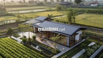 tôi kẹt tiền bán vội căn nhà 7mx33m giá 1ty1