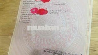 Bán Căn Hộ Mini gần Mặt Phố Hào Nam, Thoáng Đẹp Sổ Từng Căn. Full Đồ