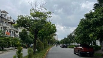  Cho thuê nhà 15tr mặt đường 20m , p Bình Trưng Đông 