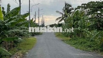 Bán Đât Làm Vườn, Mặt Tiền Đường