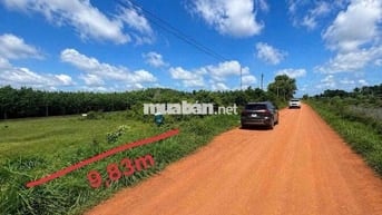 306m2 có thổ cư đường mặt tiền kênh Tân Hưng CHÍNH CHỦ BÁN GẤP