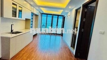 Chung Cư Đền Lừ 55/60m 2 ngủ 2 VS, PK, Bếp Full nội thất ở luôn 4.39 t