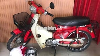 Honda Cub DD 70 Đỏ  Bstp