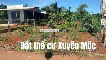 Chính Chủ Bán Đất Thổ Cư Ở Xuyên Mộc giá Chỉ 1 Tỉ 2