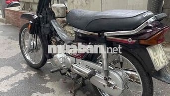 Honda Dream Việt 2011 Nâu
