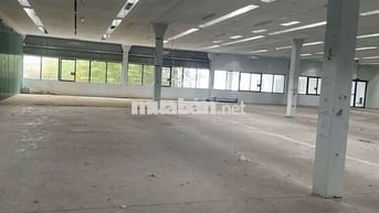 MB KHO XƯỞNG VITRI ĐẸP XE CONTAINER. GIÁ 100K/1M2 CÓ XUẤT (VAT) 