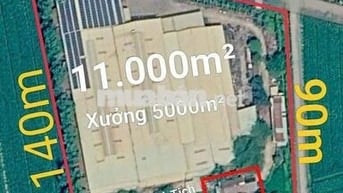 xưởng bán hoặc cho thuê DT 11000m² giá 38ty thuê 150tr