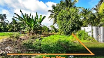 Công ty Đấu giá hợp danh Lam Sơn Sài Gòn thông báo đấu giá tài sản