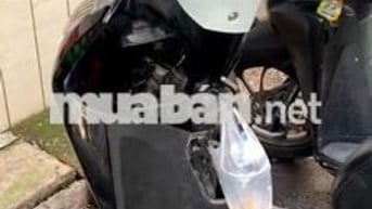 Honda Lead Đen, Trắng