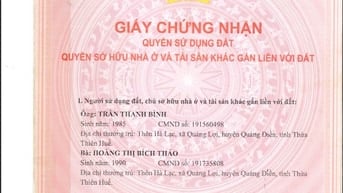 CÔNG TY ĐẤU GIÁ HỢP DANH SAO VIỆT ĐẤU GIÁ TÀI SẢN