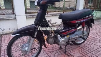 Honda Dream Lùn Nho Xăng