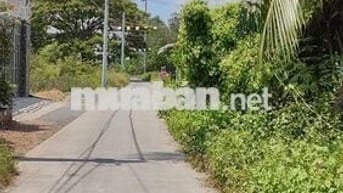 Đất nền thổ cư gần cầu Tân Quý Tây. Giá 1 tỷ 100 triệu/ 130m2 thổ cư