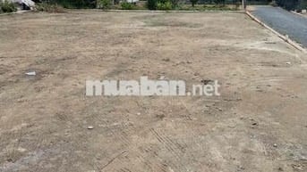 đất F0 chưa qua chủ . Mỹ Lộc Cần giuộc ,gần Đường 835B, 550triệu/106m2