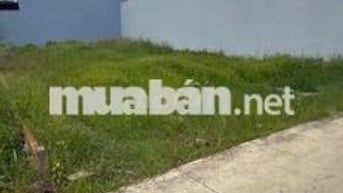 Gần QL50 135m2 giá 600tr sổ hồng riêng xây dựng tự do