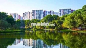 cho thuê căn 2pn 2wc DT 63m2 khu Ruby Celadon city Tân Phú