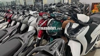 Honda SH Xe tay ga Đa dạng