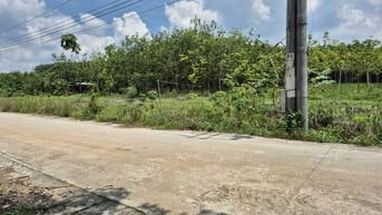 CÔNG TY ĐẤU GIÁ HỢP DANH MINH PHÁP THÔNG BÁO ĐẤU GIÁ TÀI SẢN