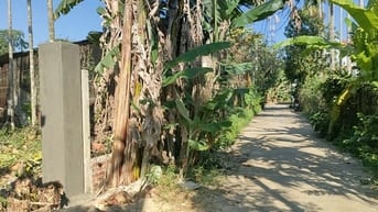 Cần tiền bán nhà vườn nghỉ dưỡng 