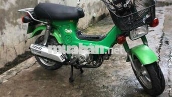 Honda Chaly81 có đề