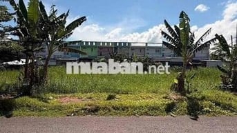Bán nền tâm huyết KDC Vạn Phát Avenue - TP Cần Thơ