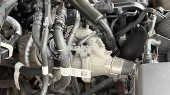 Ford Wildtrack 2022 Tự động Vàng