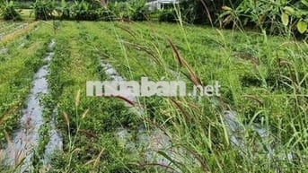 bán đất mặt tiền đường nhựa Xã Dương Minh châu Tây Ninh, view núi Bà