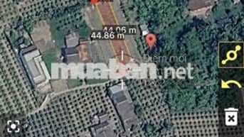 cần bán gấp 331.2 m vuông có 100 thổ cư