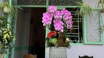 Sang quán cà phê, trà sữa ngay mặt tiền khu dân cư K26 Dương Quảng Hàm
