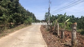 Đất Vườn mới tách sổ có 80m2TC - Gần KDL Suối Mơ - Chưa Qua Đầu Tư.