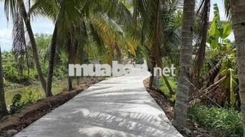 NHÀ TRỆT LẦU MỚI TINH CÓ KHOẢNG SÂN RỘNG TRỒNG CÂY TRƯỚC SÂN