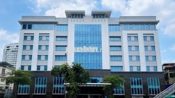 🏢 CHO THUÊ TÒA NHÀ MẶT TIỀN LÝ THƯỜNG KIỆT DT 45M X 25M QUẬN 10