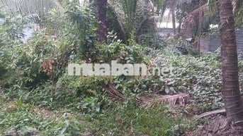 Bán đất vườn 1000m2 hẻm Huỳnh Thị Xe