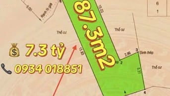 Bán đất hẻm ô tô , Đ. Nguyễn Thị Định rẽ vào 