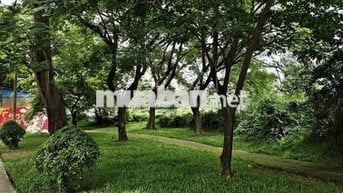 💯ĐỐI DIỆN CV LỚN🌿🍃Nhà Cấp 4 MTKD 20m khu Bình Phú 4x21,5m xây 4,5 tấm