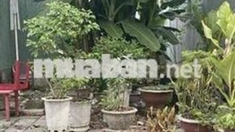 Bán lô đất MT  Phước Tường 14 Giá bằng đất kiệt