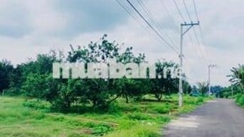 Bán hơn 300m2 thổ cư Long Khánh Đồng Nai