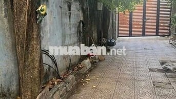 🛑CHO THUÊ NHÀ MẶT TIỀN NGUYÊN HỒNG🛑300m2 SÂN VƯỜN + TRỆT 2 LẦU-NỞ HẬU