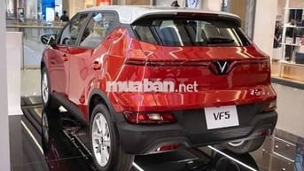 🔥 ƯU ĐÃI LỚN THÁNG 7 – VINFAST VF5 🔥