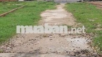 Bán đất gần đường ĐT 824, Đức Hoà Đông, 1,25 tỷ, 142 m2