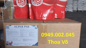 SUPER PSB RHODO – VI KHUẨN QUANG HỢP XỬ LÝ NƯỚC AO, KHỬ KHÍ ĐỘC AO TÔM