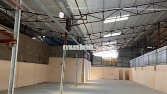 Cho thuê kho đường 25, Phường Tân Hưng 300m² – giá chỉ 25 triệu/tháng